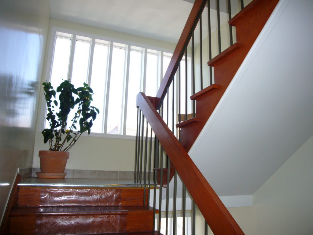 Indoor staircase with floor plant at the Gerstein Crisis Centre Bloor Street West location