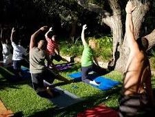 Group of people doing a yoga pose on a patch of grass